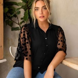 Collared Buttoned Front Dobby Mesh Sleeve Blouse